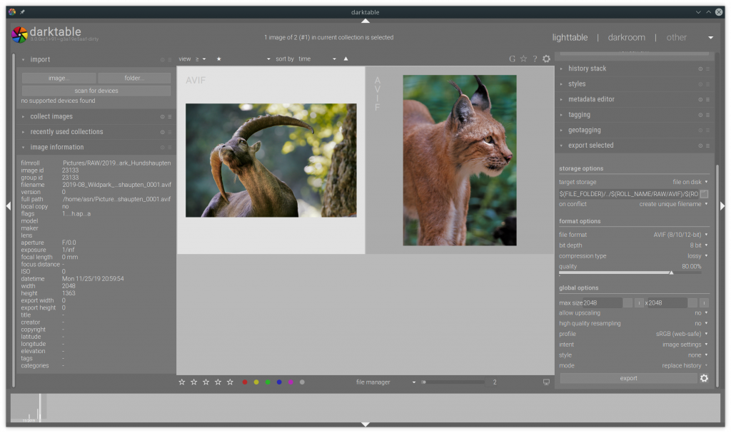 how to export in darktable